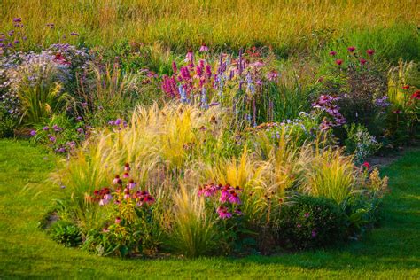 Border Grasses For Landscaping