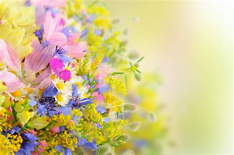 Desktop Wallpaper Flowers Free Download / Floral Wallpapers Free Hd ...