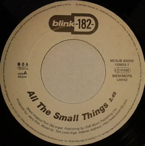 Blink-182 – All The Small Things (1999, Vinyl) - Discogs