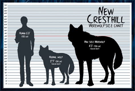 NCH Werewolf Size Chart [Closed] by SummonWolf on DeviantArt