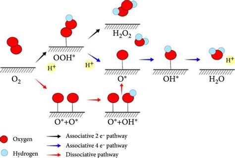 Reduction Reaction Mechanism