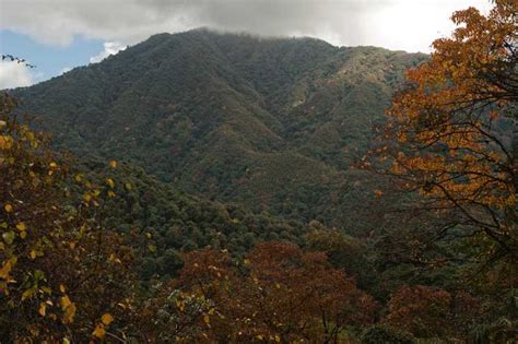 Eaglenest Wildlife Sanctuary, Bomdila| Eagle'nest Wildlife Sanctuary ...