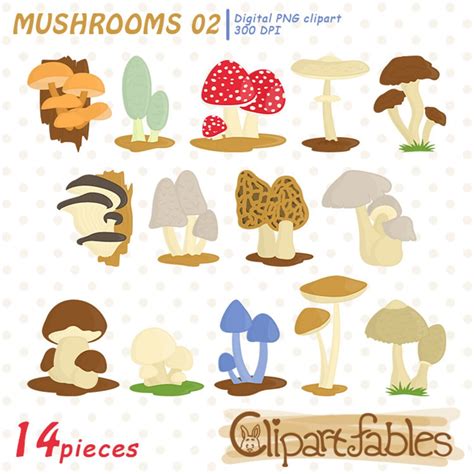 MUSHROOM Clipart, Fungi, Fungus Clip Art, Colorful Mushrooms INSTANT ...