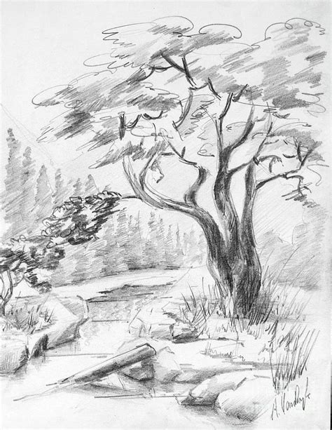 Tree Landscape Drawing by Dorothy Hilde - Fine Art America