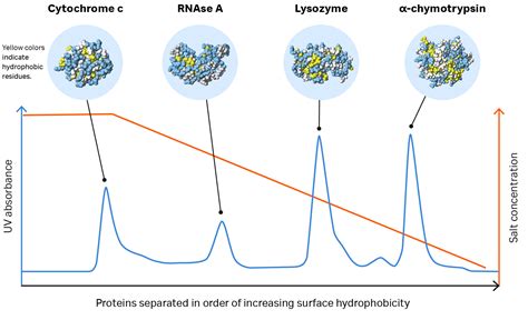 Top 60 + Hplc animation ppt - Lifewithvernonhoward.com