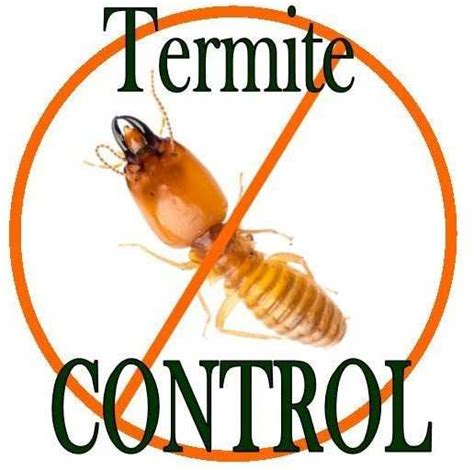 Phoenix Termite Control & Inspections - Responsible Pest Control Mesa, AZ