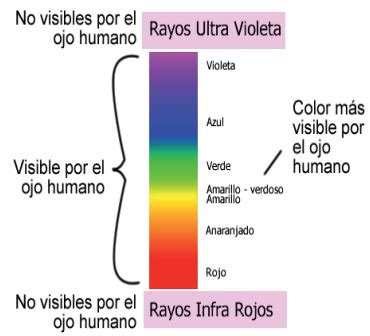 técnico Tubería Expulsar a cuantos colores percibe el ojo humano ...