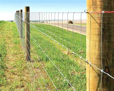 Seven Fencing Tips for Cattle | Ag Industry News - Farm and Livestock ...