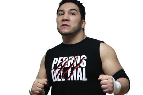 Perro Aguayo Jr. Dies After Wrestling Match with Rey Mysterio - IGN