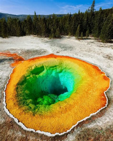 Yellowstone National Park - 5 Best Things To Do