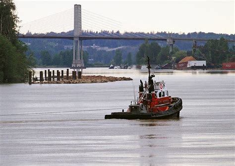 Water levels to peak in Fraser River over the weekend - Maple Ridge ...