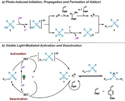 Proposed mechanism for the photo-mediated living cationic... | Download ...