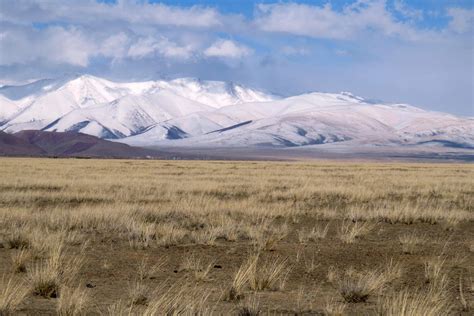 9 Extraordinary Facts About Steppe - Facts.net