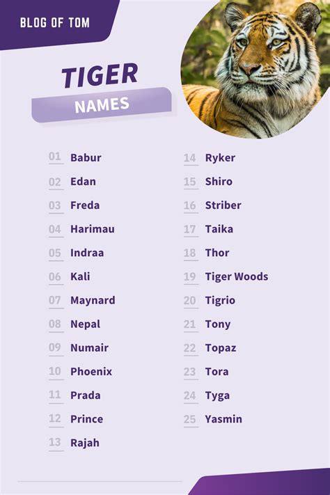 Tiger Names (999+ Best Male & Female Naming Ideas) | Names, Fantasy ...