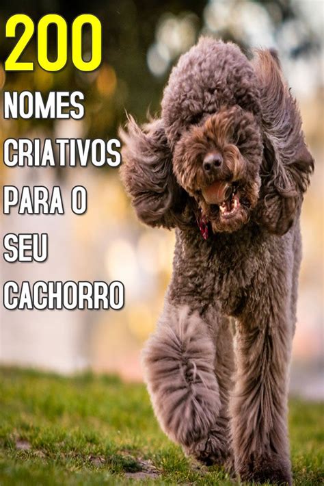 Pin em Animais lindos