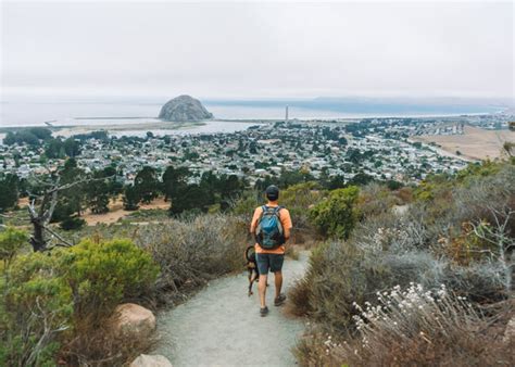 Hiking Black Hill Trail In Morro Bay, California