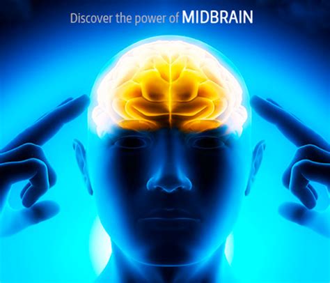 MIdbrain Activation at Rs 40,000 / Piece in Delhi | Sound Brain Activation