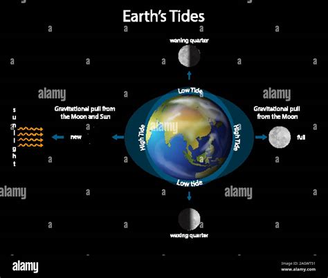 Diagram showing earth tide illustration Stock Vector Image & Art - Alamy