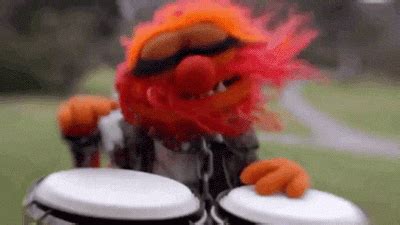 Drums Muppets GIF by Muppet Wiki - Find & Share on GIPHY