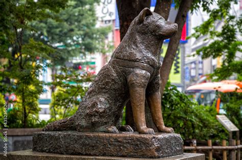 Hachiko dog statue in Shibuya, Tokyo Stock Photo | Adobe Stock