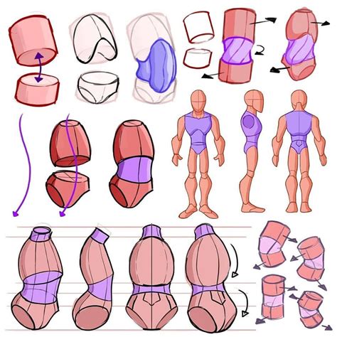 Torso studies/breakdown 😁 #art #drawing #illustration #torso # ...