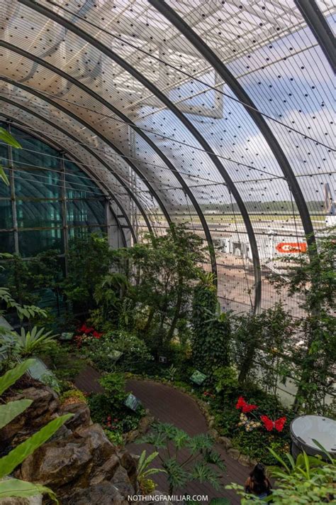 How to Visit the Beautiful Singapore Butterfly Garden at the Airport!