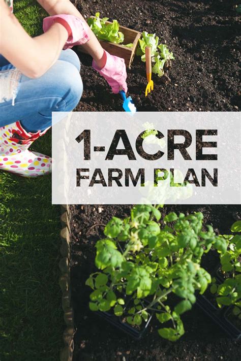 One Acre Homestead - Here's What to Plant, Raise, and Build