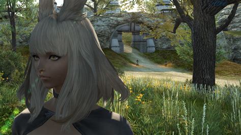 FFXIV Endwalker: How to Unlock the New Female Viera Hairstyles