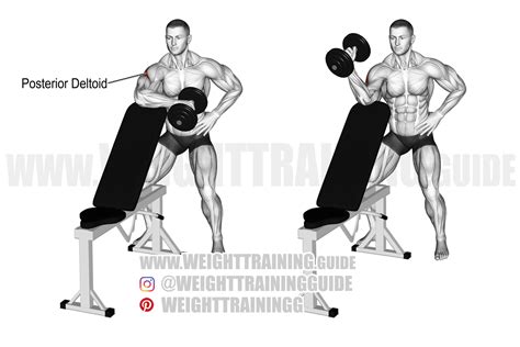 Dumbbell external shoulder rotation exercise instructions and video in ...