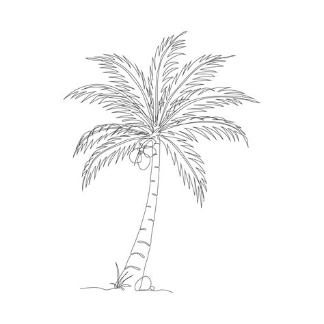 Coconut tree line art drawing. Single continuous line drawing of ...