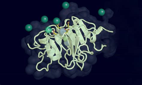 Vitronectin illustration [IMAGE] | EurekAlert! Science News Releases