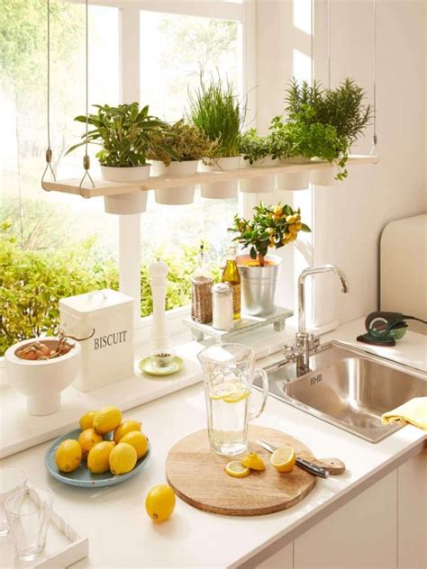 10 Amazing Indoor Kitchen Herb Gardens