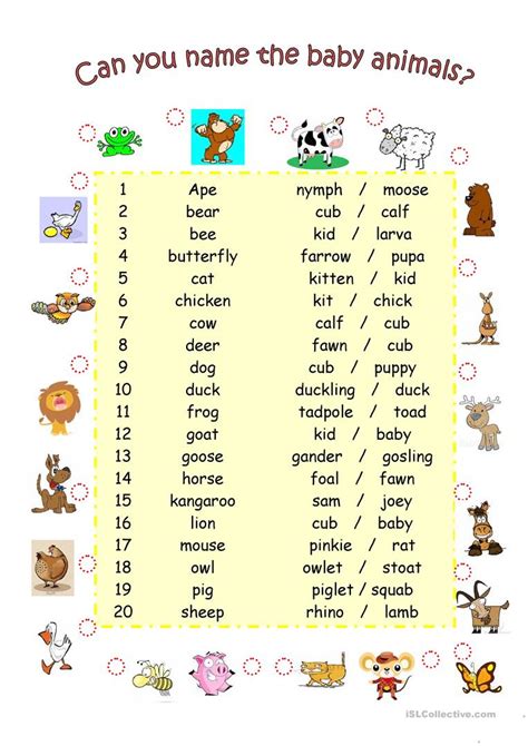 Animals And Their Babies Worksheet For Kids