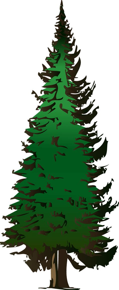 Pine Tree Outline | Free download on ClipArtMag