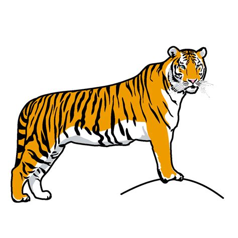 Tiger outline clip art - Clipartix