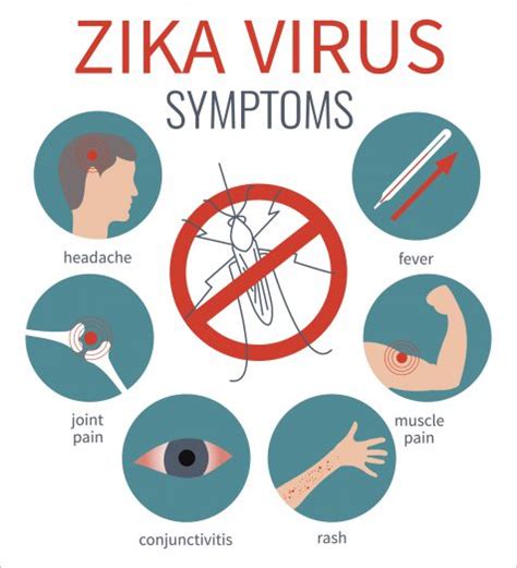 Zika Virus: Myths vs. Facts | UPMC HealthBeat