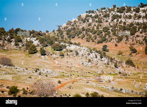 Turkey countryside hi-res stock photography and images - Alamy