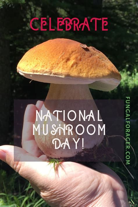 Celebrate National Mushroom Day! | The FunGal Forager