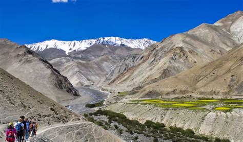 Top 14 Trails for Trekking in Ladakh| Holidify