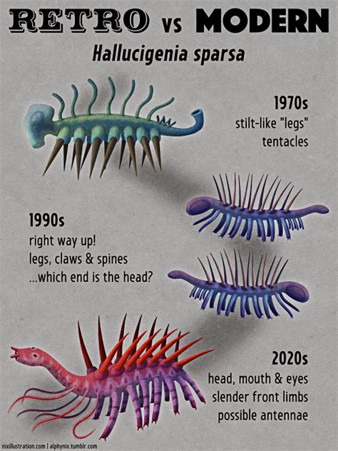 Retro vs Modern #09: Hallucigenia sparsa – Nix Illustration