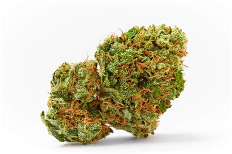 18+ Best Marijuana Strains of All Time: Indica, Sativa, Hybrid