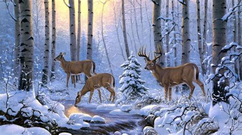 Whitetail deer in snow - Painting art - backiee