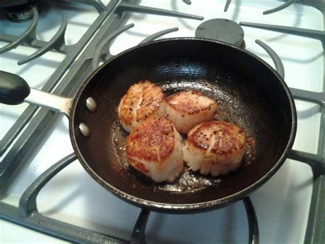 Perfectly seared scallops. Thank you Chef Gordon Ramsay! | Chef gordon ...