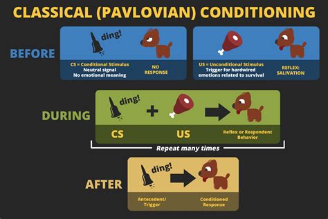 Classical Conditioning Examples