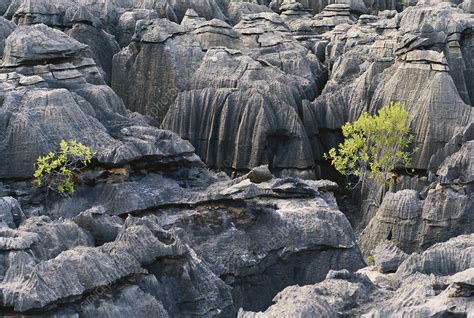 Karst Formations in Australia - Stock Image - C012/8578 - Science Photo ...