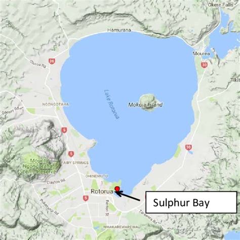 Schematic representation of Rotorua's Proposed Upgraded WWTP treatment ...