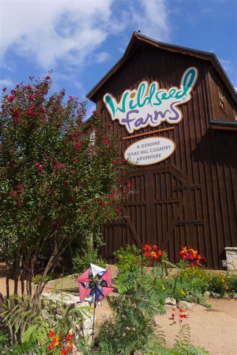 Catch the beautiful blooms at the largest working wildflower farm in ...