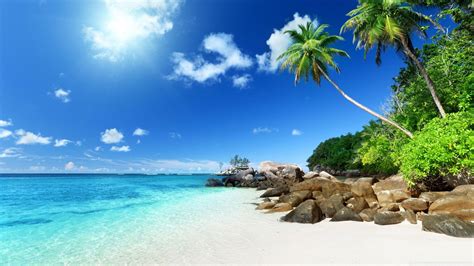 Sunshine Beach Wallpapers - Top Free Sunshine Beach Backgrounds ...