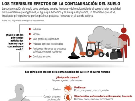 Los terribles efectos de la contaminación del suelo | PortalAmbiental ...