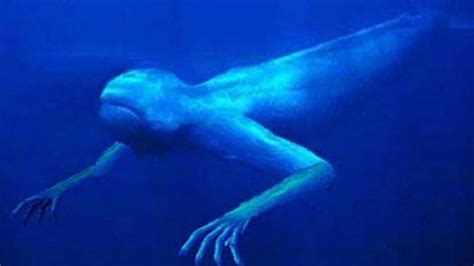 Weird Animals That Live In The Sea / 20 Bizarre Sea Creatures That Look ...